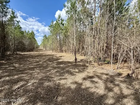 0 Guinea Mill Road Ernul NC 28527