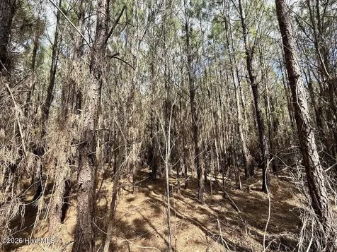 0 Guinea Mill Road Ernul NC 28527