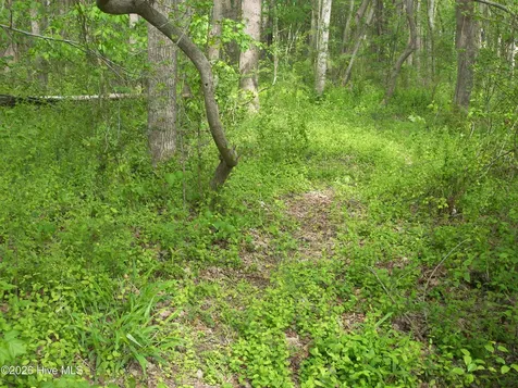 2470 Ridge Road Spring Hope NC 27882