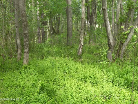 2470 Ridge Road Spring Hope NC 27882