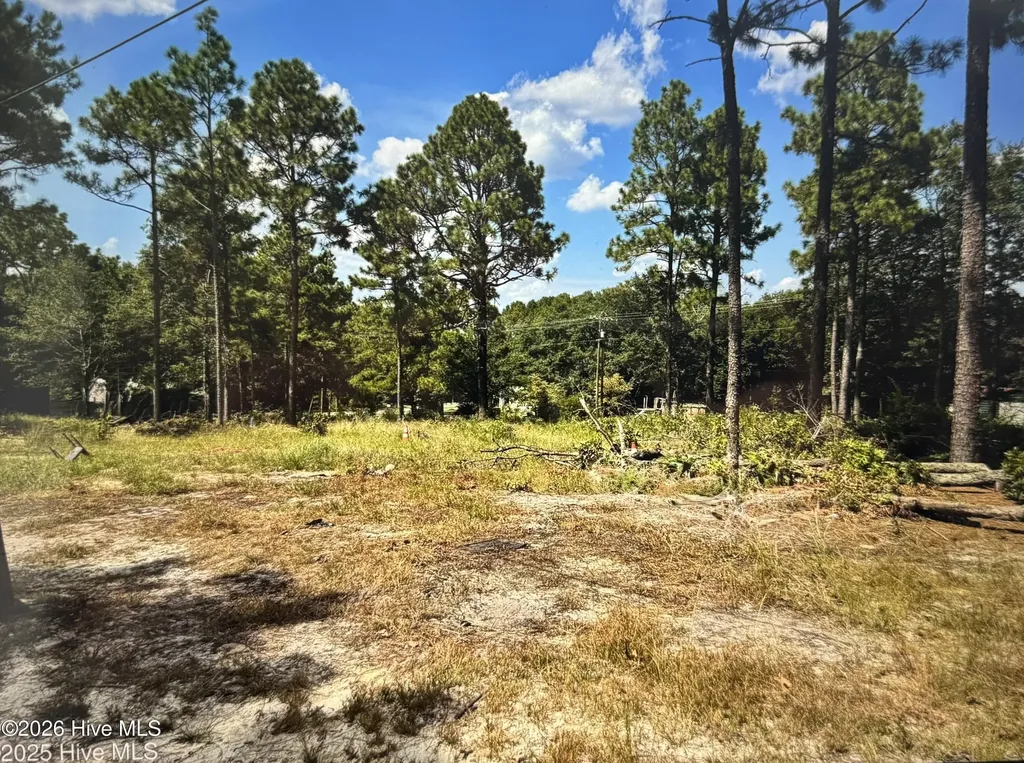 000 Wiregrass Road Hamlet NC 28345