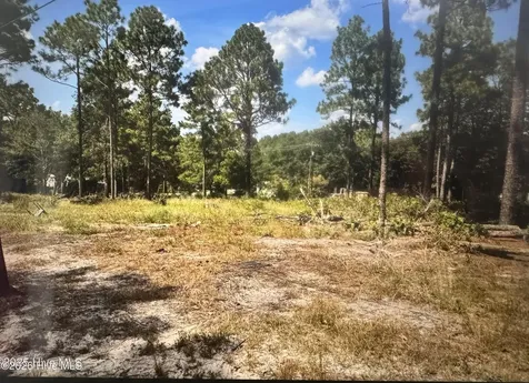 000 Wiregrass Road Hamlet NC 28345
