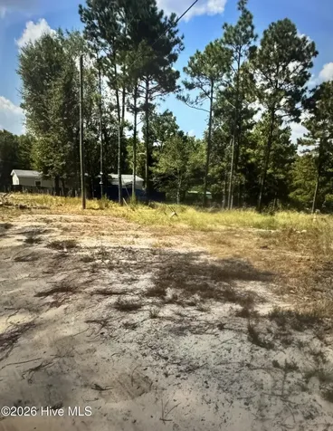 000 Wiregrass Road Hamlet NC 28345
