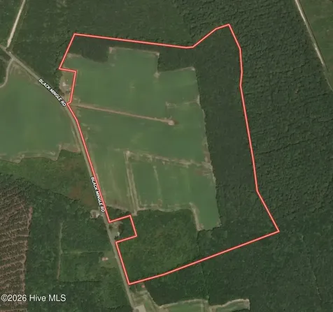 0 Black Mingle Road Gates NC 27937