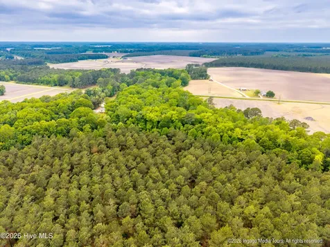 1952 Whichard Cherry Lane Road Stokes NC 27884