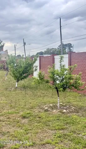 128 E Railroad Street La Grange NC 28551