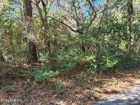 52 Fort Holmes Trail Bald Head Island NC 28461