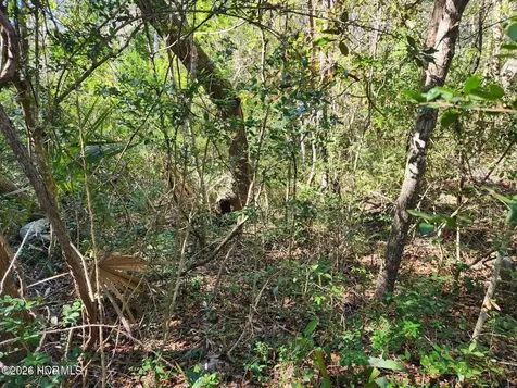 52 Fort Holmes Trail Bald Head Island NC 28461