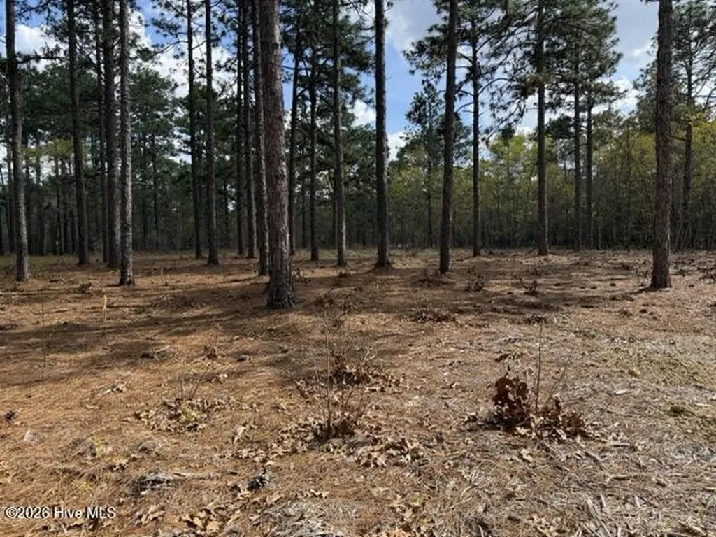 27 Birkdale Way Pinehurst NC 28374