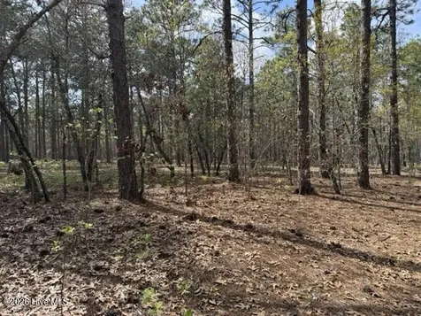 27 Birkdale Way Pinehurst NC 28374