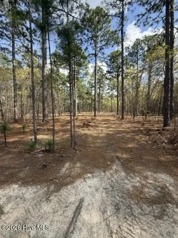 27 Birkdale Way Pinehurst NC 28374
