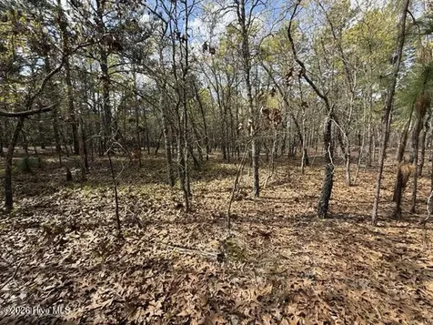 27 Birkdale Way Pinehurst NC 28374