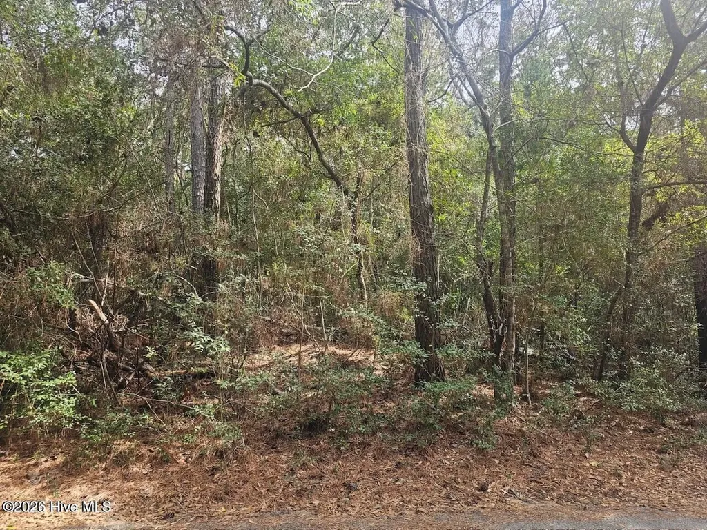 45 Fort Holmes Trail Bald Head Island NC 28461