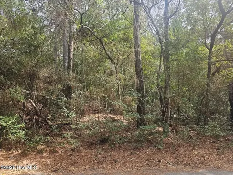 45 Fort Holmes Trail Bald Head Island NC 28461