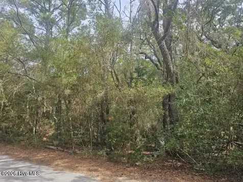 45 Fort Holmes Trail Bald Head Island NC 28461