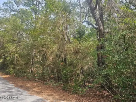 45 Fort Holmes Trail Bald Head Island NC 28461