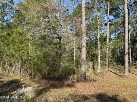 125 Shell Castle Lane Vandemere NC 28587