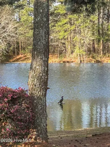 576 Tralee Drive Smithfield NC 27577