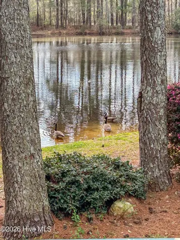 576 Tralee Drive Smithfield NC 27577