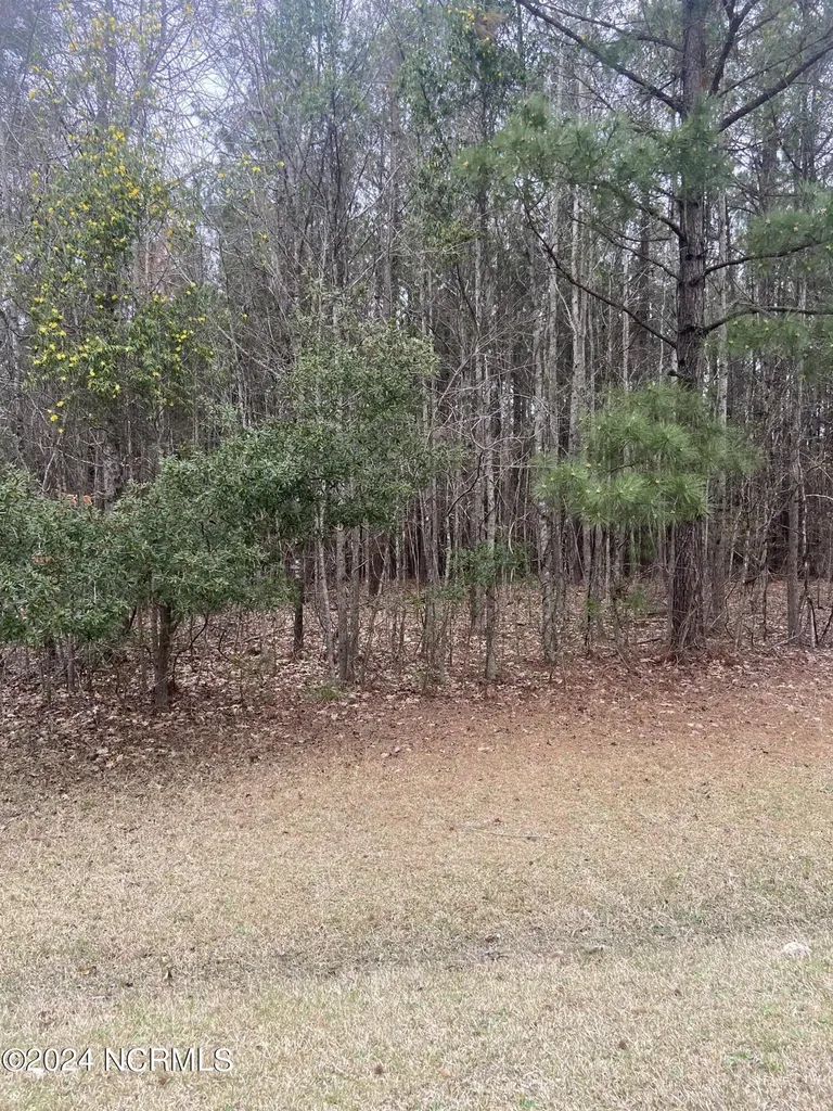 Lot 88 Johnson Drive Hertford NC 27944