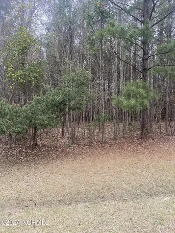 Lot 88 Johnson Drive Hertford NC 27944