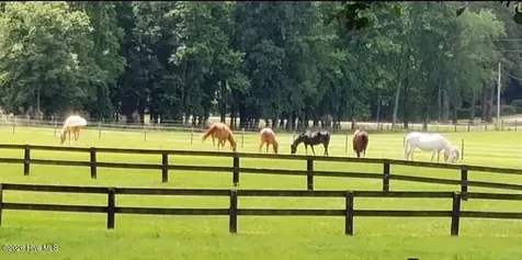 2639 Nc Highway 211 Clarkton NC 28433