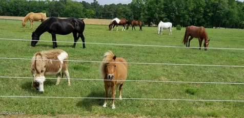 2639 Nc Highway 211 Clarkton NC 28433