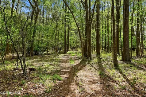 2639 Nc Highway 211 Clarkton NC 28433