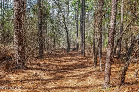 526 Springhill Church Road Hamlet NC 28345