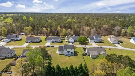 105 Quarter Horse Havelock NC 28532