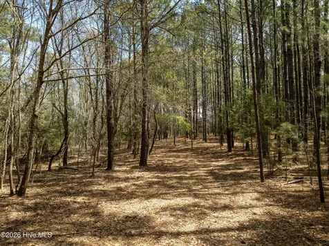 0 Odum Drive Hubert NC 28539