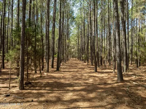 0 Odum Drive Hubert NC 28539
