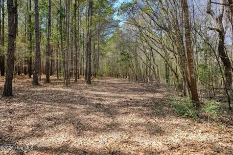 0 Odum Drive Hubert NC 28539