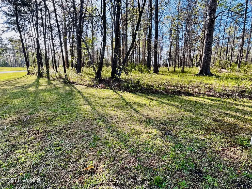 256 Winding Creek Drive Oriental NC 28571