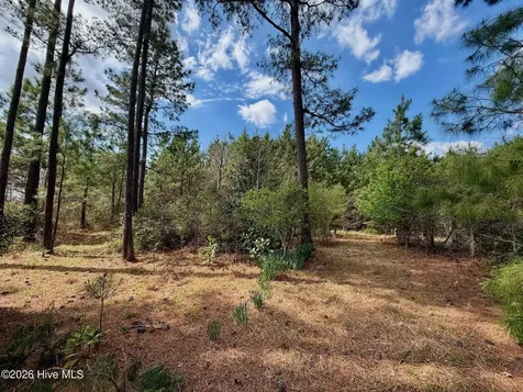 0 Black Mingle Road Gates NC 27937