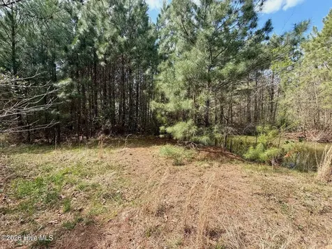 0 Black Mingle Road Gates NC 27937