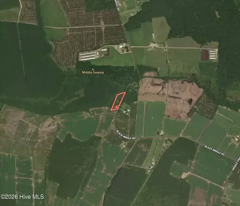 0 Black Mingle Road Gates NC 27937