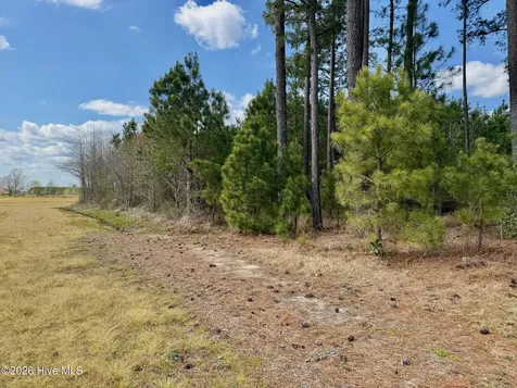 0 Black Mingle Road Gates NC 27937