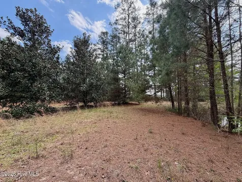 0 Black Mingle Road Gates NC 27937