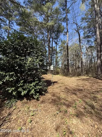 6484 Prison Camp Road Williamston NC 27892
