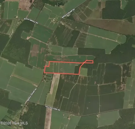 0 Middle Swamp Road Gates NC 27937