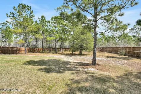 9599 Fallen Pear Lane NE Leland NC 28451