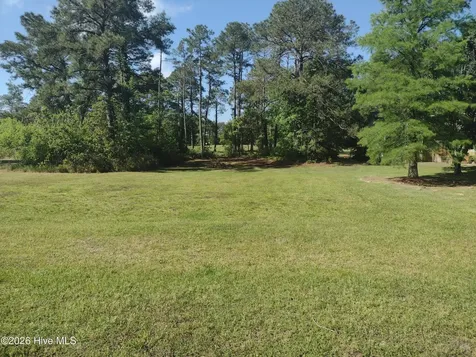 1733 Caracara Drive New Bern NC 28560