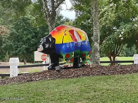 1733 Caracara Drive New Bern NC 28560