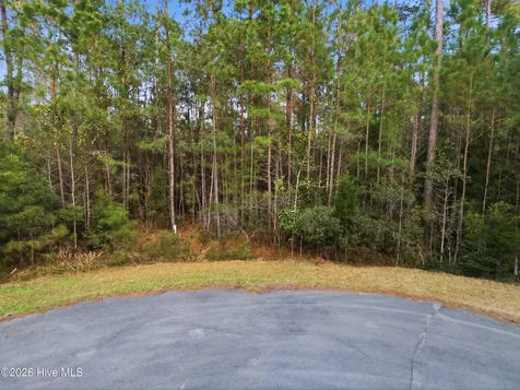 121 Mason Lane Merritt NC 28556