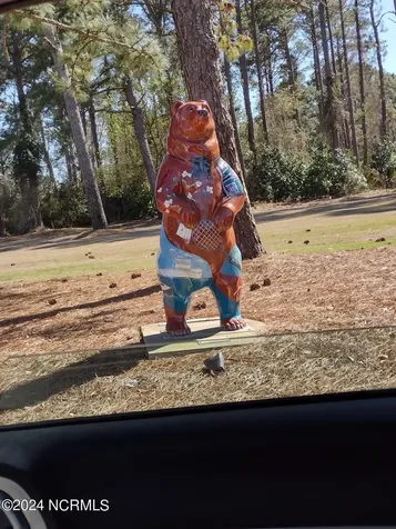1731 Caracara Drive New Bern NC 28560