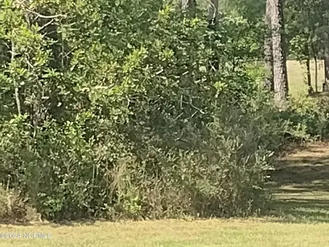1731 Caracara Drive New Bern NC 28560