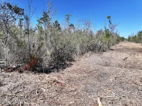 0 Guinea Mill Road Ernul NC 28527