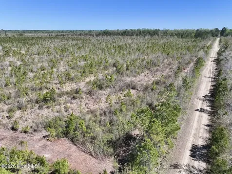 0 Guinea Mill Road Ernul NC 28527