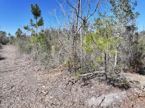 0 Guinea Mill Road Ernul NC 28527